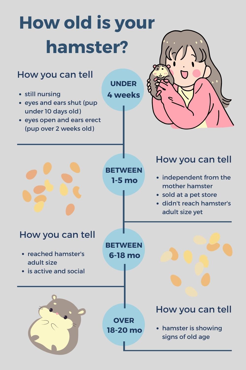 how to tell how old my hamster is cheat sheet