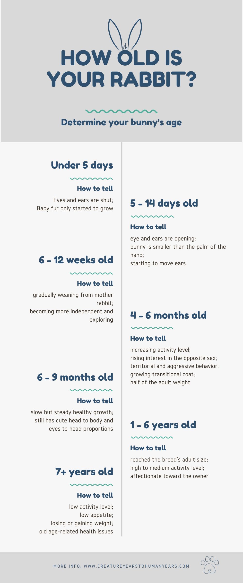 how to tell a bunny age cheatsheet